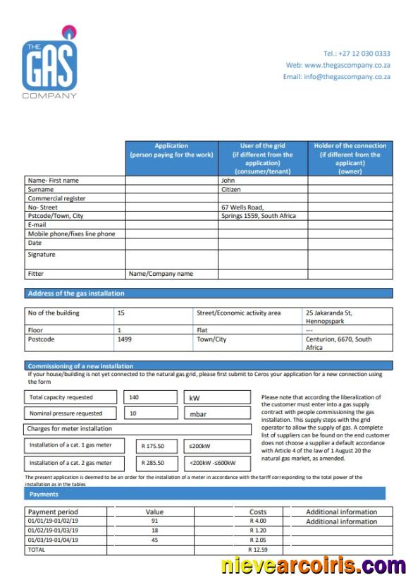 Realistic South Africa The GAS Company Gas Utility Bill Template In Word And PDF Format
