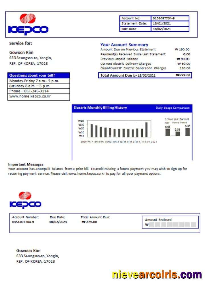 Editable South Korea Electric Power Corporation Electricity Utility Bill Template In Word And PDF Format