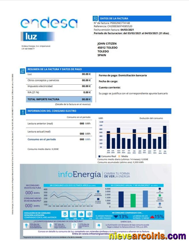 Professional Spain Endesa Luz Utility Bill Template In Word And PDF Format