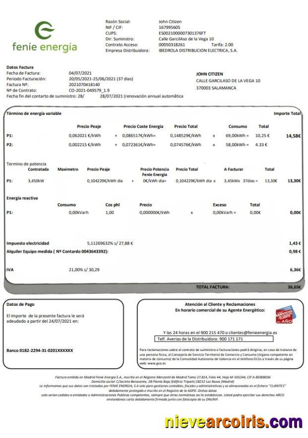 Professional Spain Feníe Energía Utility Bill Template In Word And PDF Format