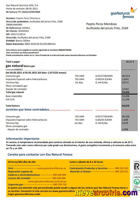 Realistic Spain GasNatural Fenosa Utility Bill Template In Word And PDF Format