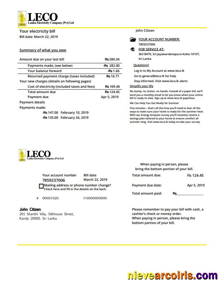 Professional Sri Lanka LECO Company Electricity Utility Bill Template In Word And PDF Format