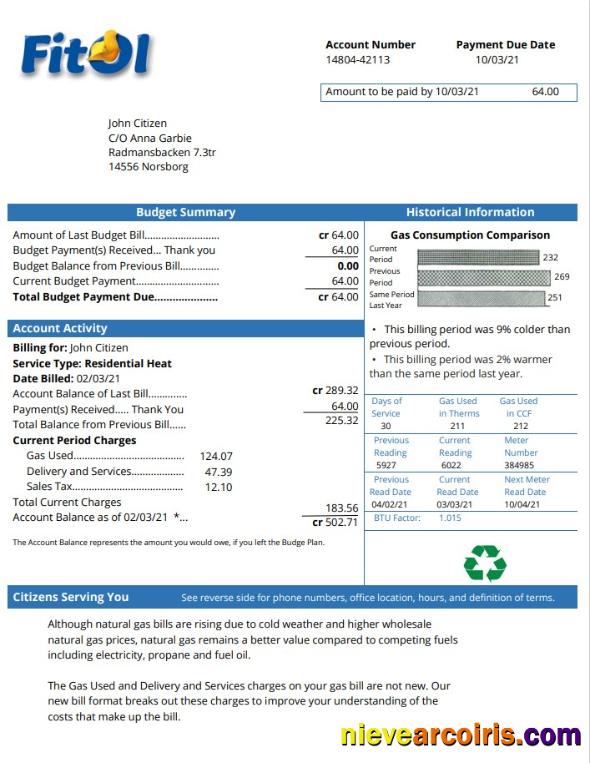 Professional Sweden Fitol Gas Utility Bill Template In Word And PDF Format