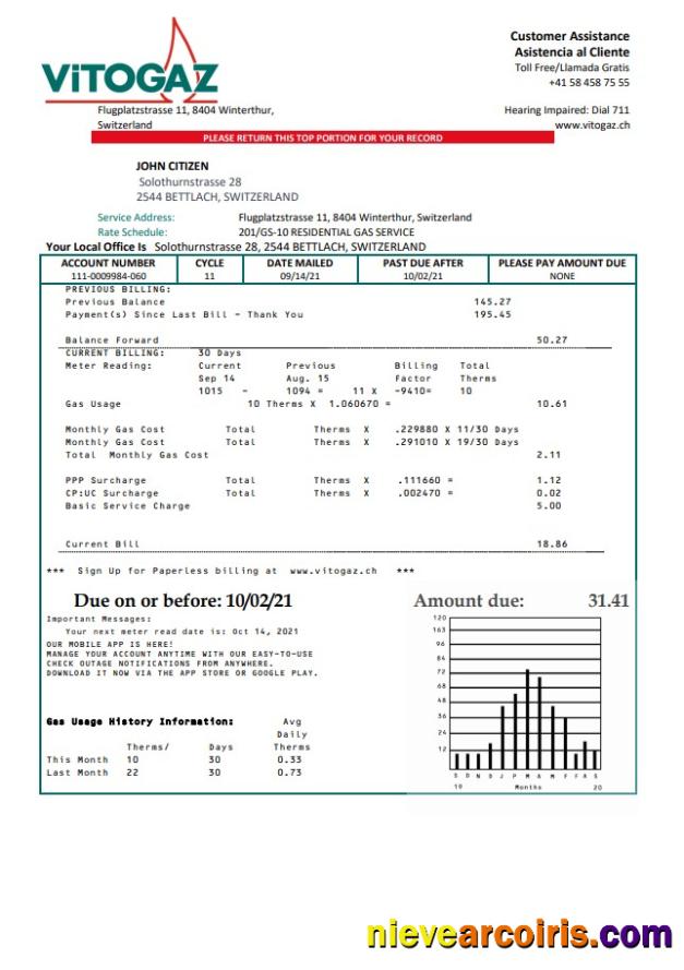 Premium Switzerland Vitogaz Switzerland AG Utility Bill Template, Fully Editable In Word And PDF Format