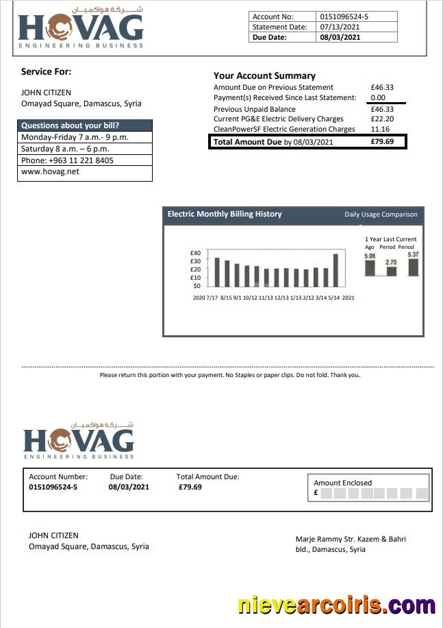 Realistic Syria HOVAG Company Electricity Utility Bill Template In Word And PDF Format