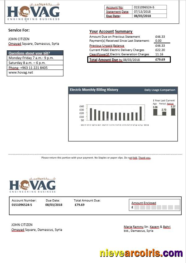 Syria HOVAG Electricity Bill In Word Format Preview