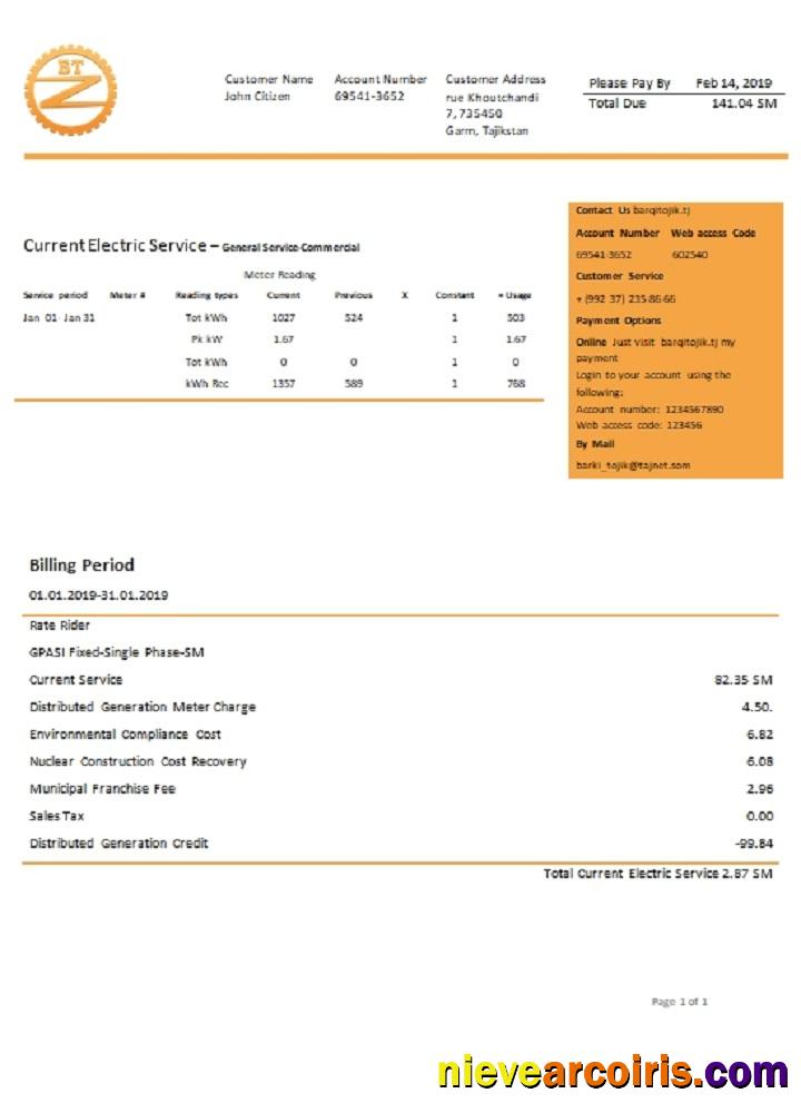 Editable Tajikistan Barqi Tojik Company Electricity Utility Bill Template In Word And PDF Format