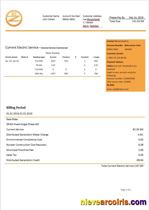 Tajikstan Barqi Tojik Electricity Bill In Word Format Sample
