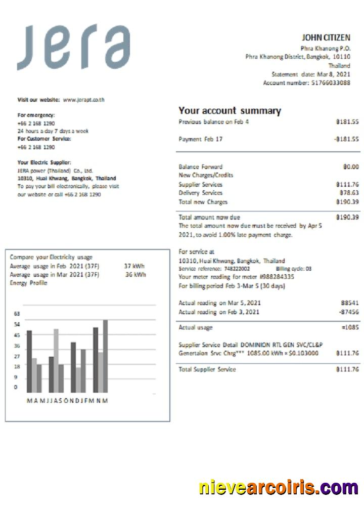 Realistic Thailand JERA Power Utility Bill Template In Word And PDF Format