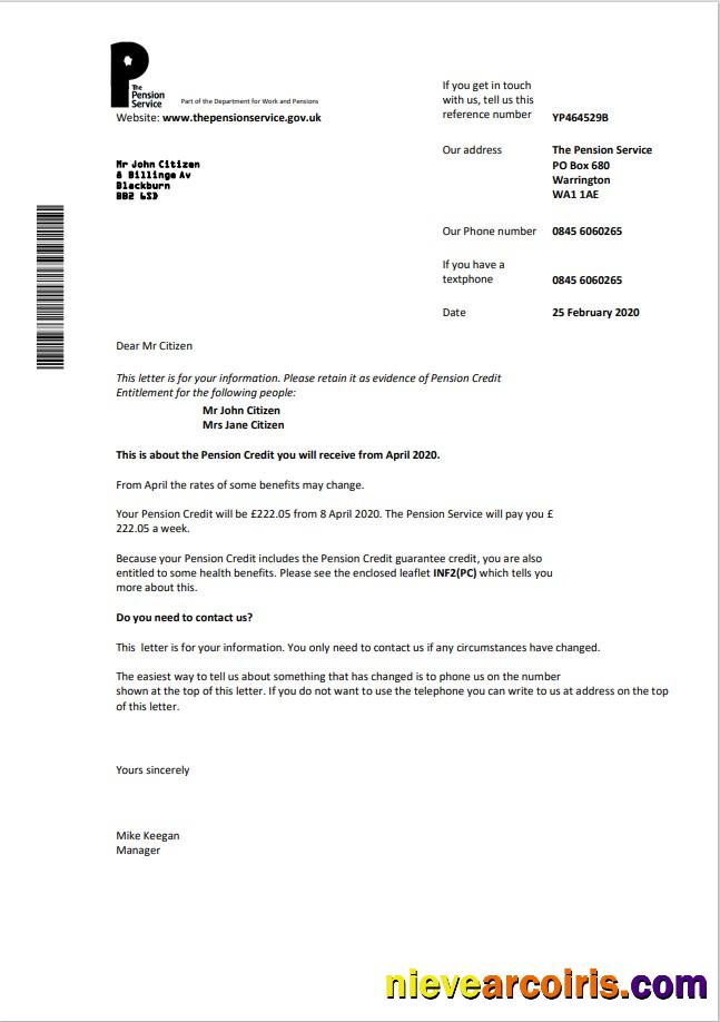 Realistic The Pension Service Utility Bill Template In Word And PDF Format