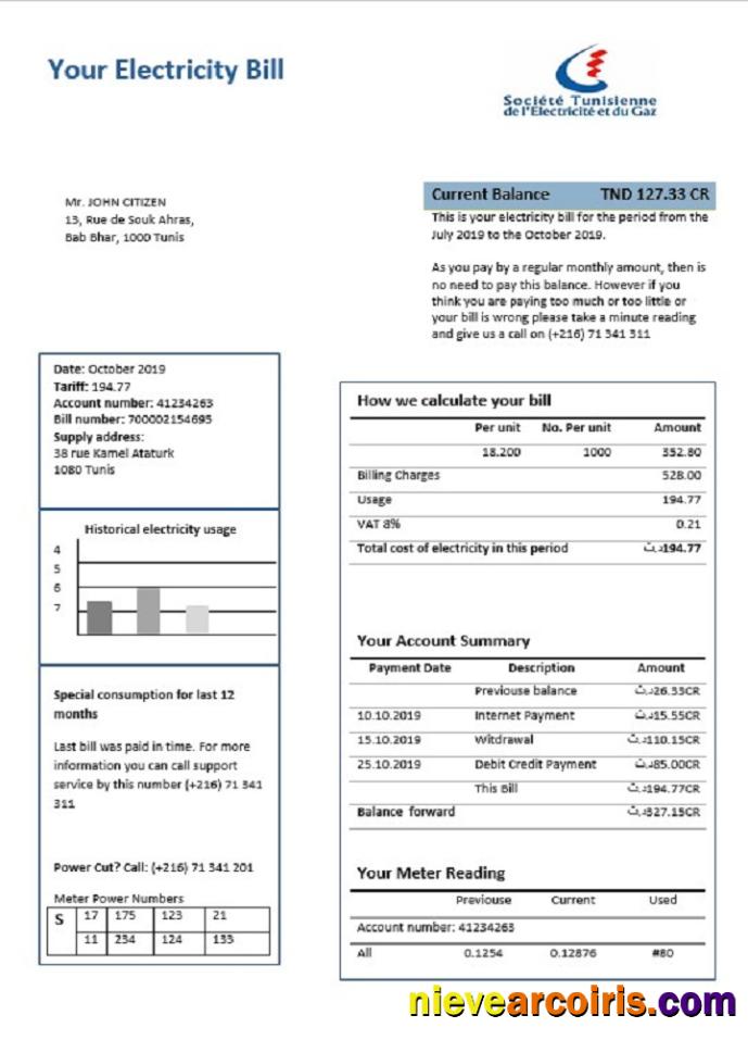 Professional Tunisia Electricity Proof Of Address Utility Bill Template In Word And PDF Format