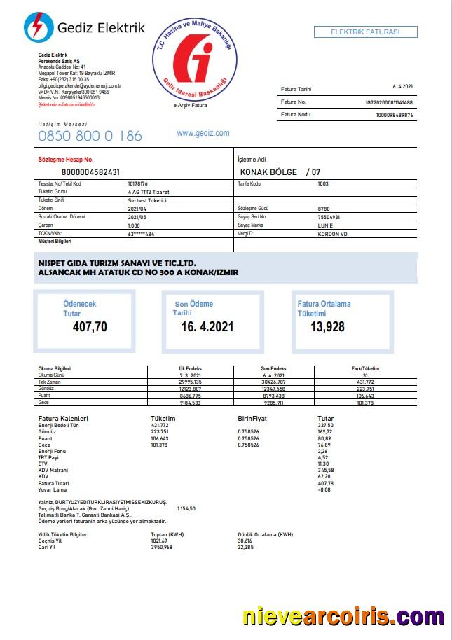 Realistic Turkey Gediz Elektrik Utility Bill Template In Word And PDF Format, Fully Editable
