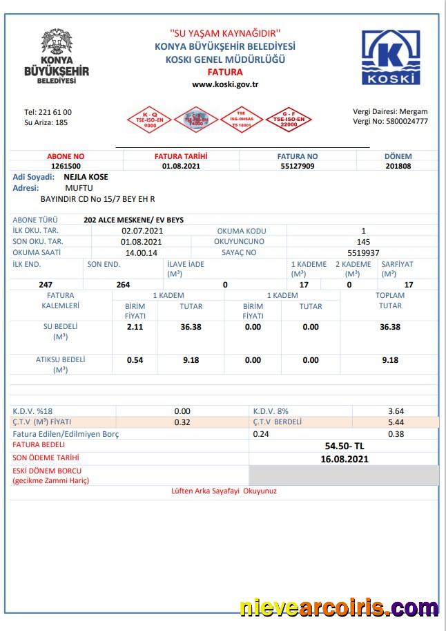 Editable Turkey Water Utility Bill Template In Word And PDF Format