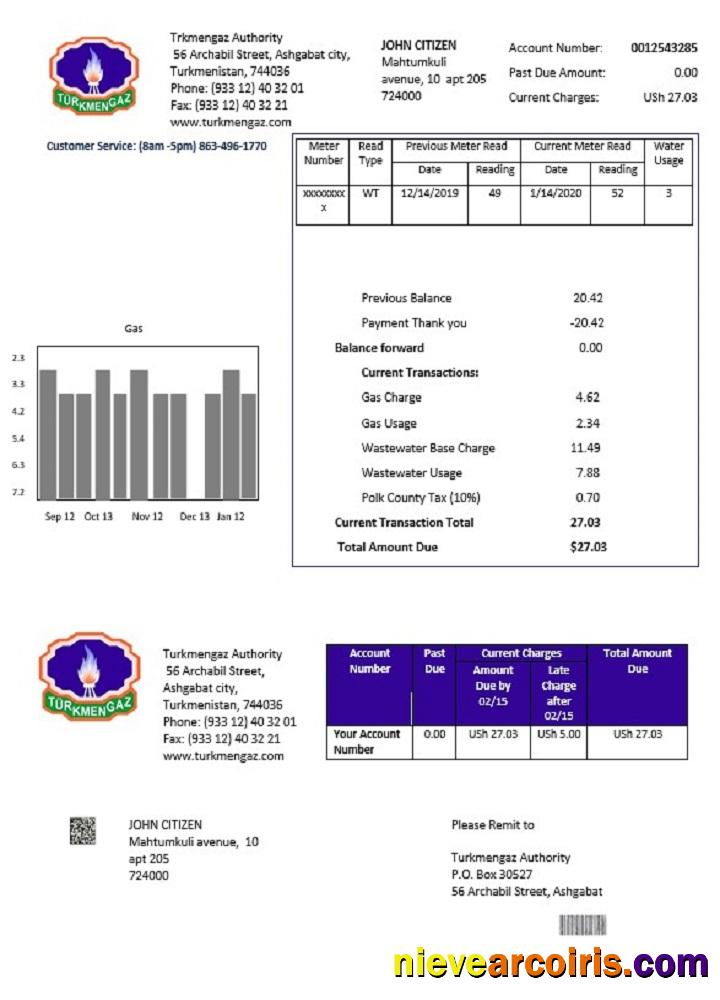 Editable Turkmenistan Turkmengaz Utility Bill Template In Word And PDF Format