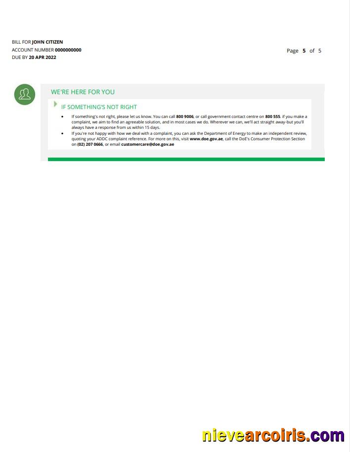 UAE Abu Dhabi Al Ain Distribution Co. (5 Pages) 5 Preview