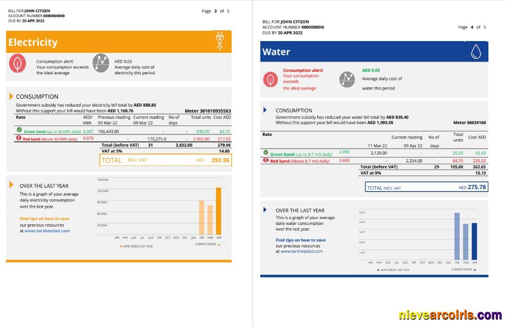 Editable UAE Abu Dhabi Al Ain Distribution Co. Word And PDF Utility Bill Template (5 Pages) 3 4