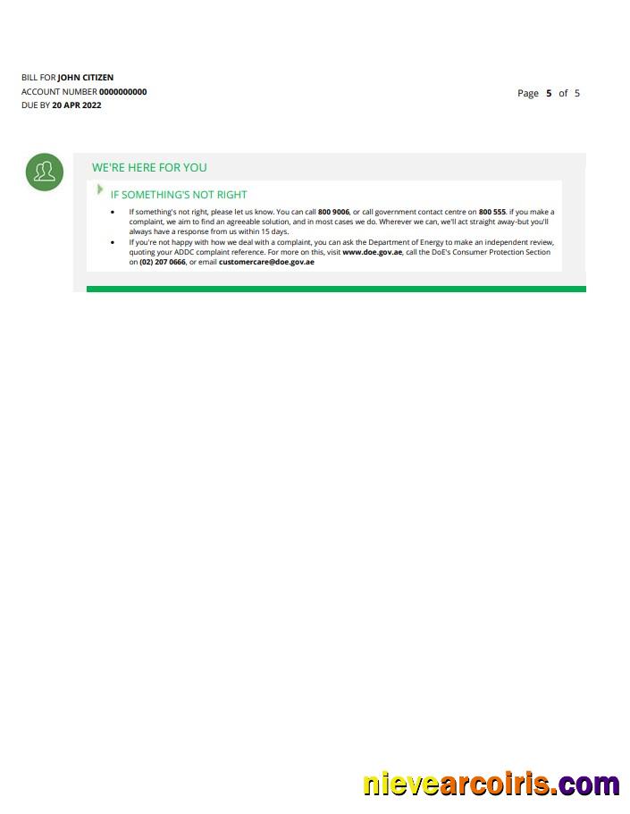 Premium UAE Abu Dhabi Al Ain Distribution Co. Word And PDF Utility Bill Template (5 Pages) 5