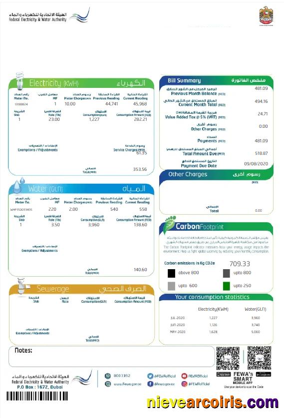 Professional UAE DUBAI FEDERAL ELECTRICITY & WATER AUTHORITY Utility Bill Word And PDF Template