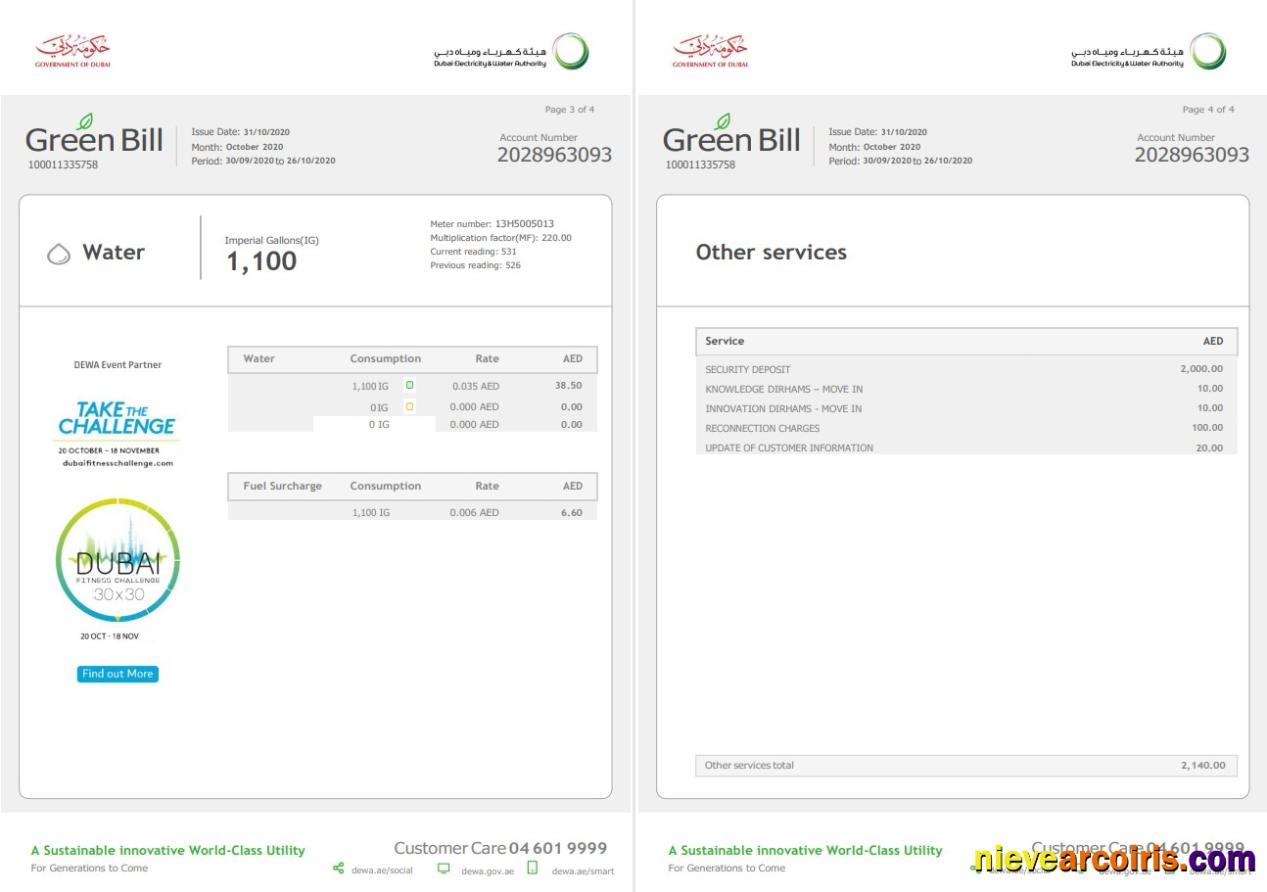 Professional UAE Dubai Electricity & Water Authority Utility Bill Template In Word And PDF Format (4 Pages) 3 4