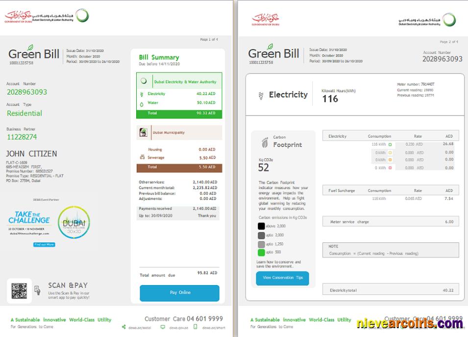 Realistic UAE Dubai Electricity & Water Authority Utility Bill Template In Word And PDF Format