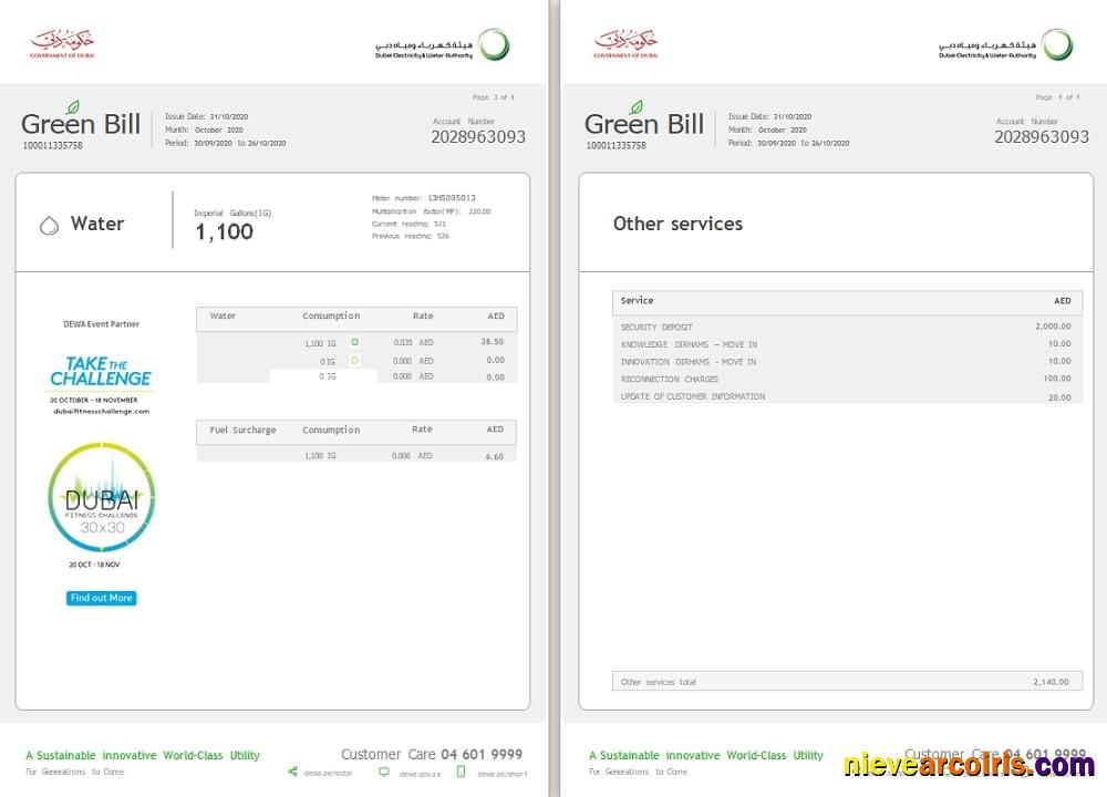 Realistic UAE Dubai Electricity & Water Authority Utility Bill Template In Word Format (4 Pages) 3 4