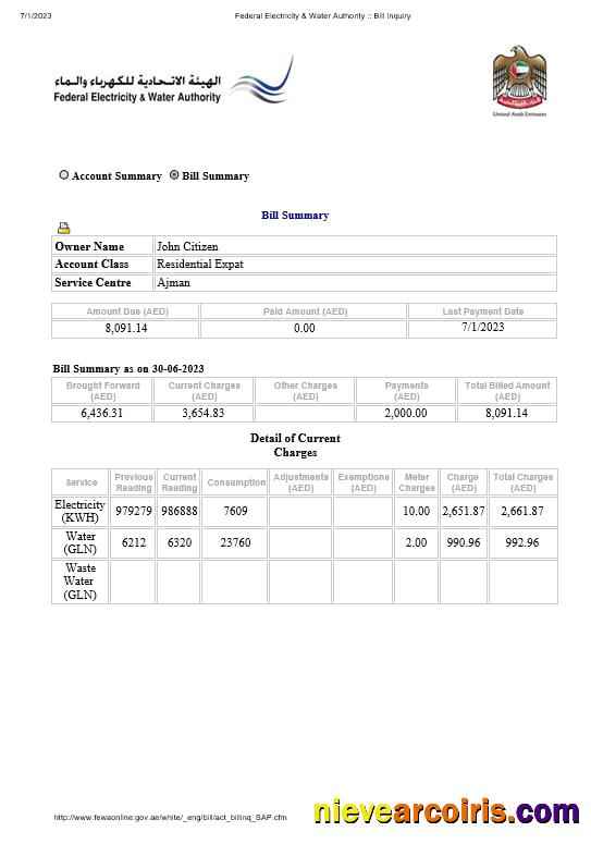UAE Dubai Federal Electricity & Water Authority Electricity, Water Utility Bill Word And PDF Formats Photolook