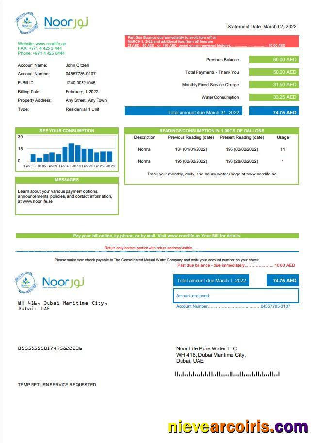 Realistic UAE Noor Life Pure Water LLC Utility Bill Template In Word And PDF Format