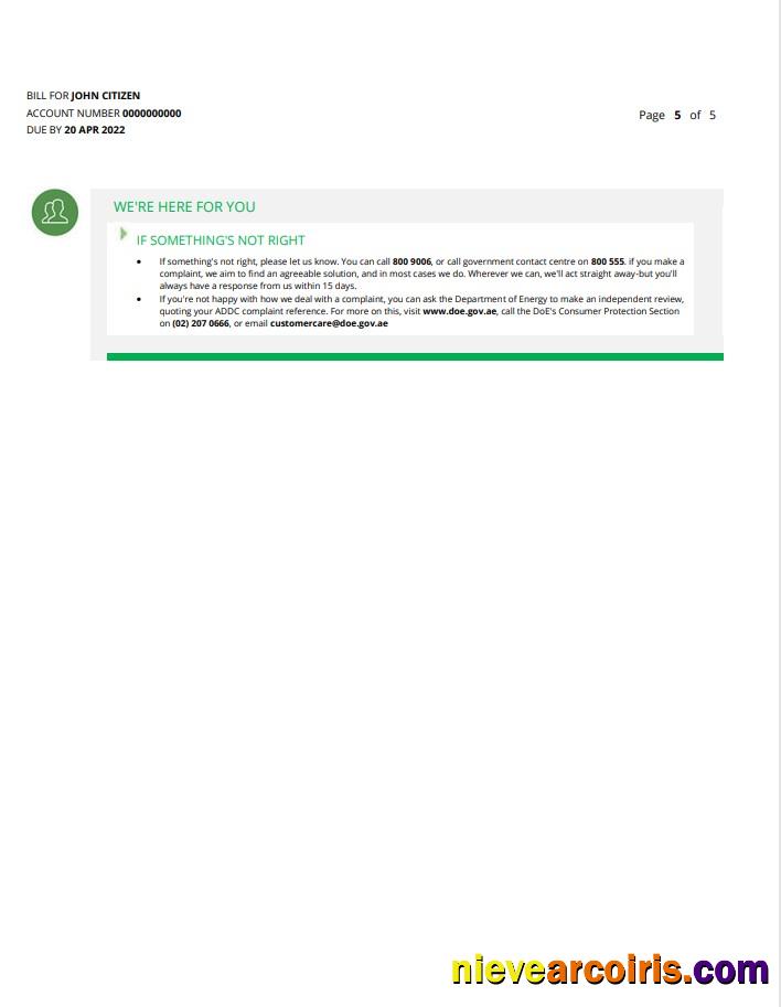 Premium UAE Ras Al Khaimah Al Ain Distribution Co. Word And PDF Utility Bill Template (5 Pages) 5