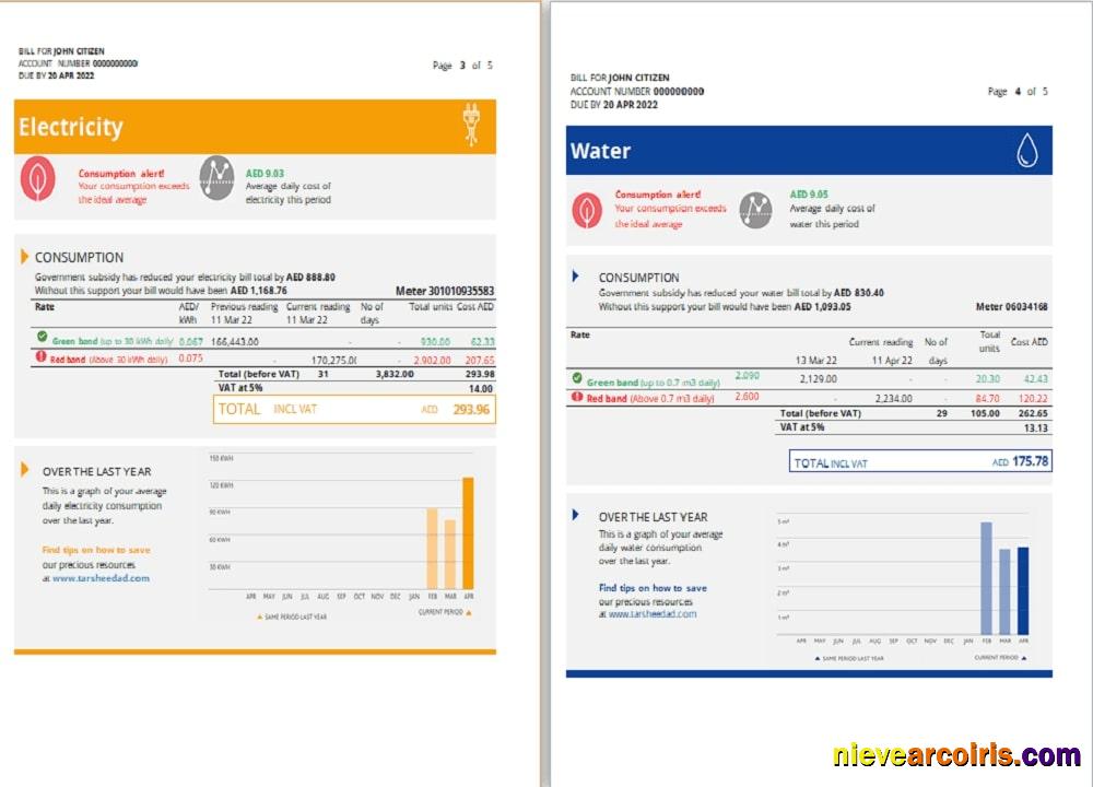 Premium UAE Sharjah Al Ain Distribution Co. Word And PDF Utility Bill Template (5 Pages) 3 4