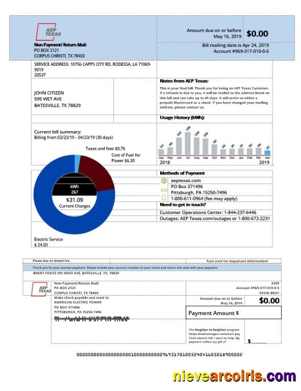Professional USA AEP Texas Electricity Utility Bill Template In Word And PDF Format