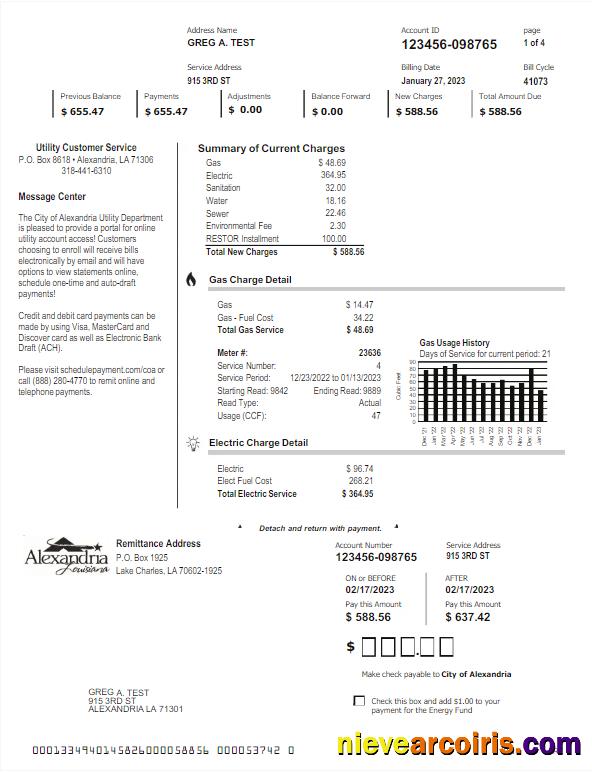Premium USA ALEXANDRIA Utility Bill Word And PDF Template