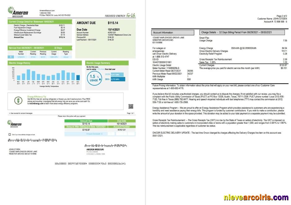 Professional USA Ameren Missouri Electricity Utility Bill Template In Word And PDF Format (2 Pages)