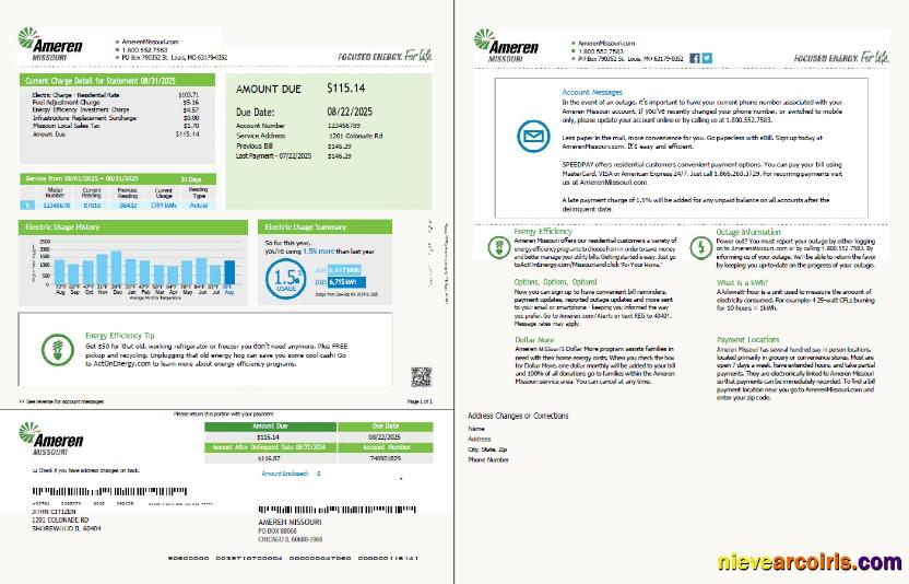 Realistic USA Ameren Missouri Utility Bill Template In Word And PDF Formats, 2 Pages