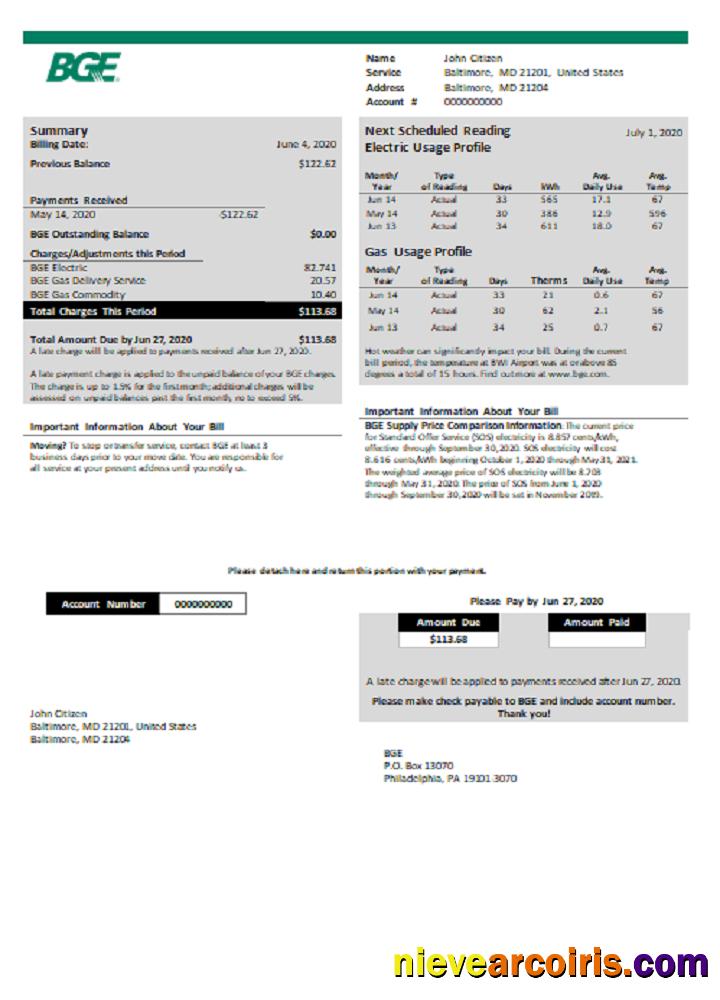 USA BGE Gas And Electric Utility Bill Preview