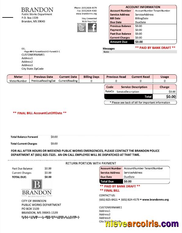 Professional USA BRANDON MISSISSIPPI Utility Bill Word And PDF Template