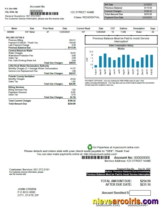 Editable USA CARKW Utility Bill Template In Worrd And PDF Formats