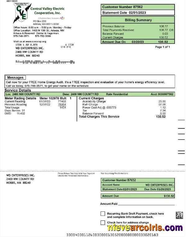 Editable USA CENTRAL VALLEY ELECTRIC Utility Bill Word And PDF Template