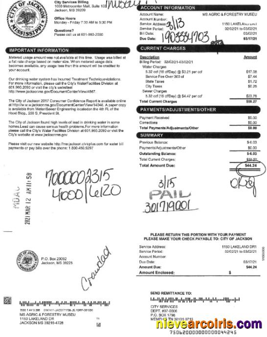 Premium USA CITY OF JACKSON Utility Bill Word And PDF Template