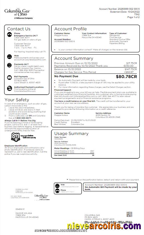 Realistic USA COLUMBIA GAS OF OHIO Utility Bill Word And PDF Template