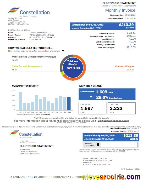 Premium USA CONSTELLATION Utility Bill Word And PDF Template