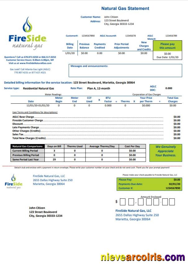 Premium USA California FireSide Natural Gas Utility Bill Template In Word And PDF Format