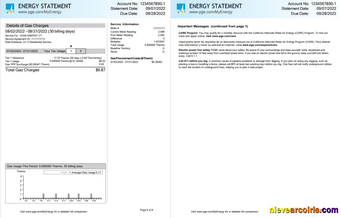 Professional USA California PG&E (Pacific Gas And Electric Company) Utility Bill, Word And PDF Template, 6 Pages 5 6