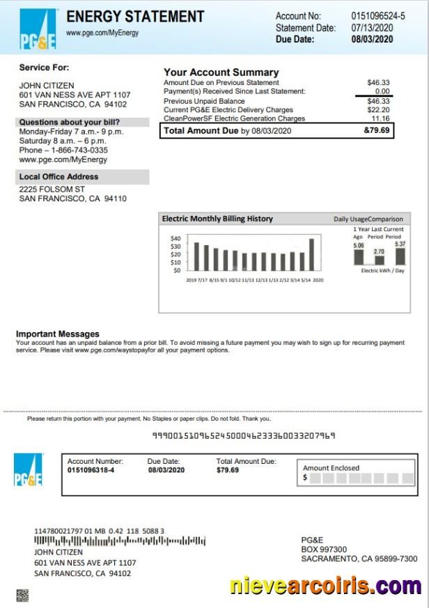 Professional USA California PG&E Electricity Utility Bill Template In Word And PDF Format