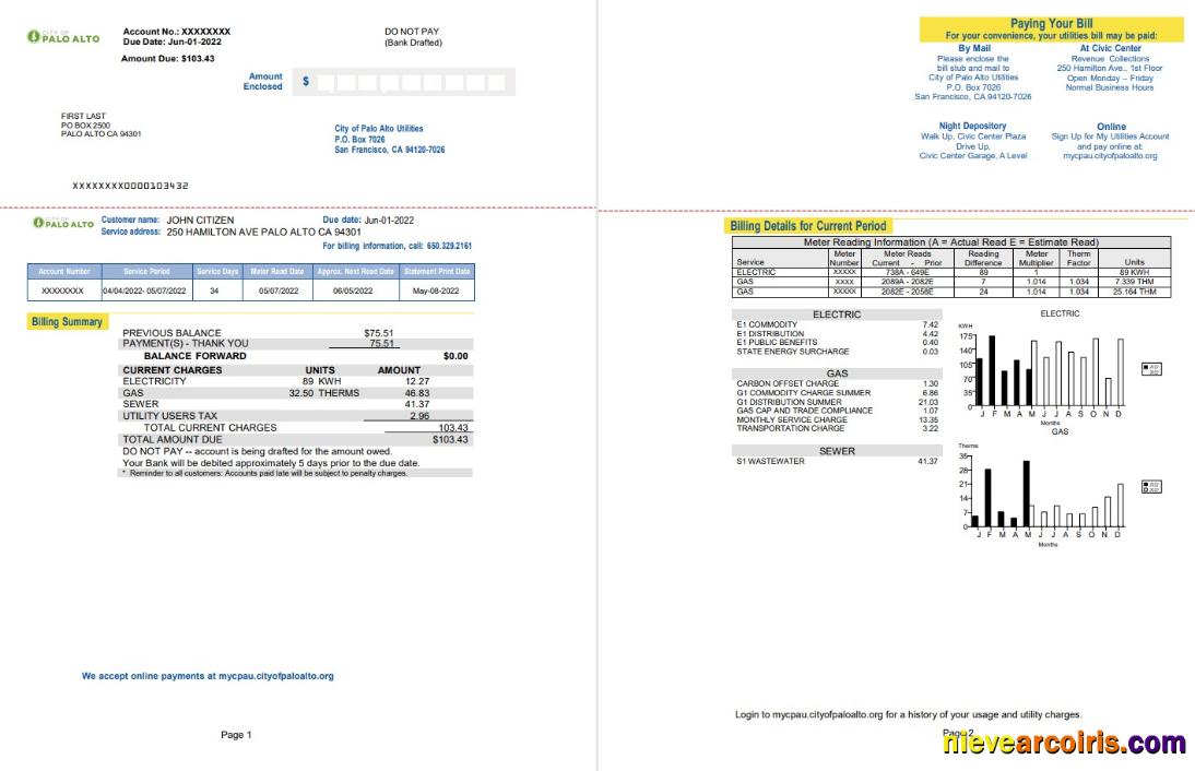 Professional USA California Palo Alto Utility Bill, Word And PDF Template, 2 Pages