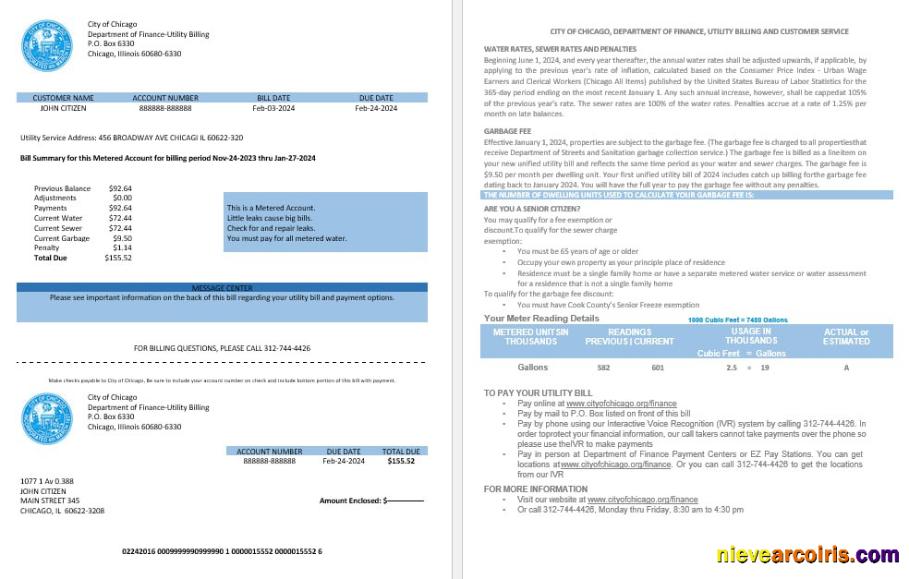 USA City Of Chicago Department Of Finance Utility Bill Statement In Word And PDF Formats Template