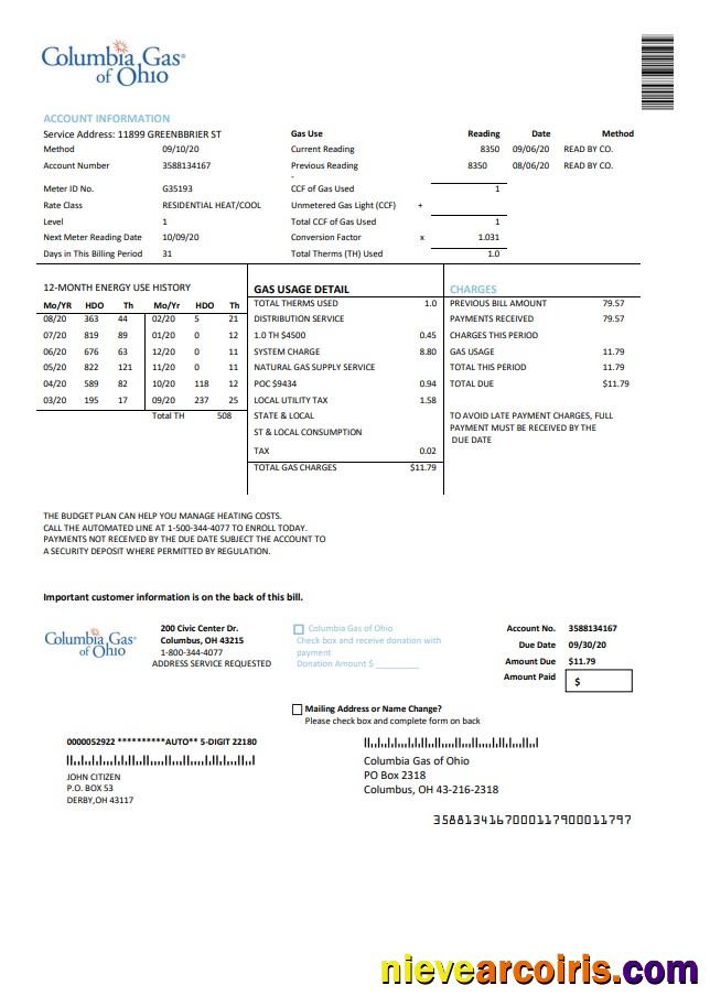 Editable USA Columbia Gas Of Ohio Utility Bill Template In Word And PDF Format