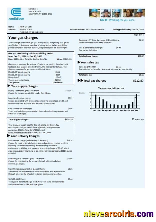 Professional USA Con Edison Gas Utility Bill Template In Word And PDF Format