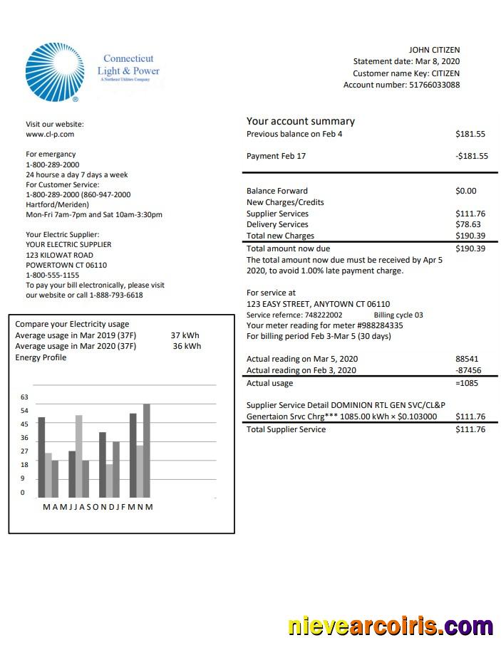 USA Connecticut Light & Power Electricity Utility Bill In Word And PDF Format Preview