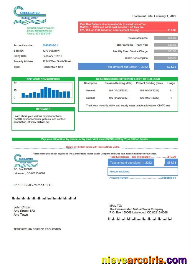 Realistic USA Consolidated Mutual Water Utility Bill Template In Word And PDF Format