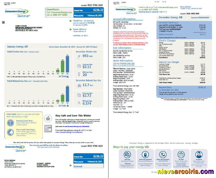 Professional USA Consumers Energy Utility Bill Template In Word And PDF Formats, 2 Pages